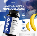 Selerb NAD+ para Hombres – Energía, Circulación y Anti-Edad