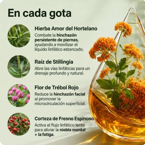 DRENAJE LINFÁTICO (GOTAS 60 ML)FORMULA HERBAL EN GOTAS- RS P2760226 - DIGESA