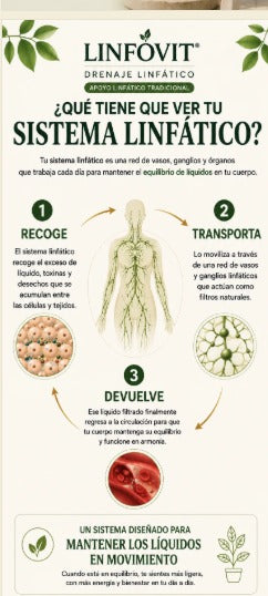 LINFÓVIT DRENAJE LINFÁTICO 60 CAPSULAS