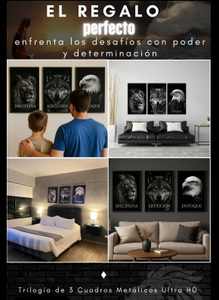 CUADRO METALICO FULL HD  TRILOGIA DEL EXITO!