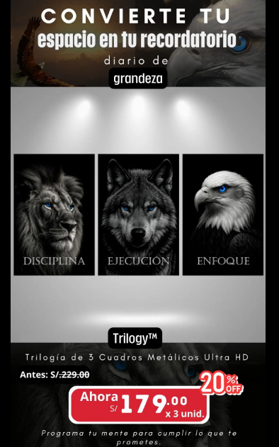 CUADRO METALICO FULL HD  TRILOGIA DEL EXITO!